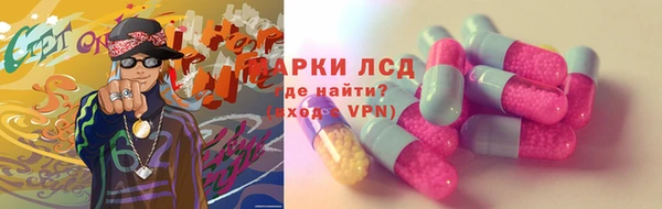 apvp Алзамай