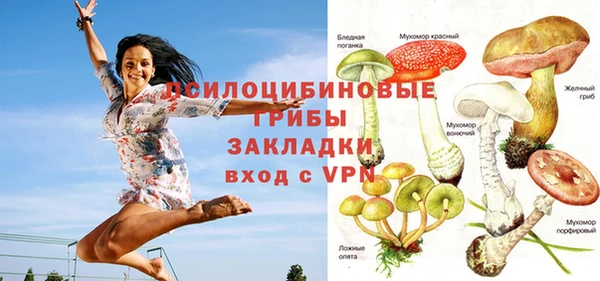 apvp Алзамай